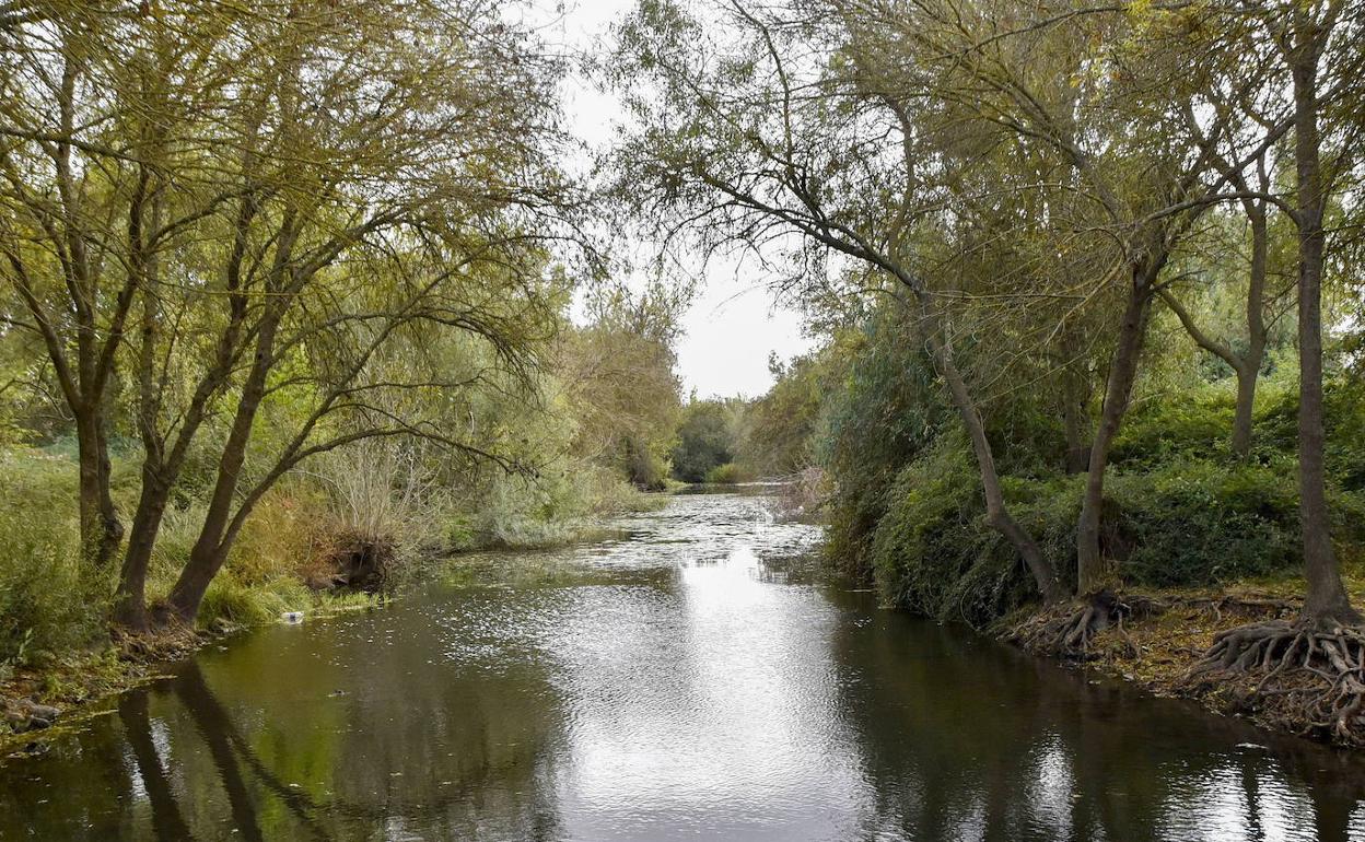 Paraje del río Gévora. 