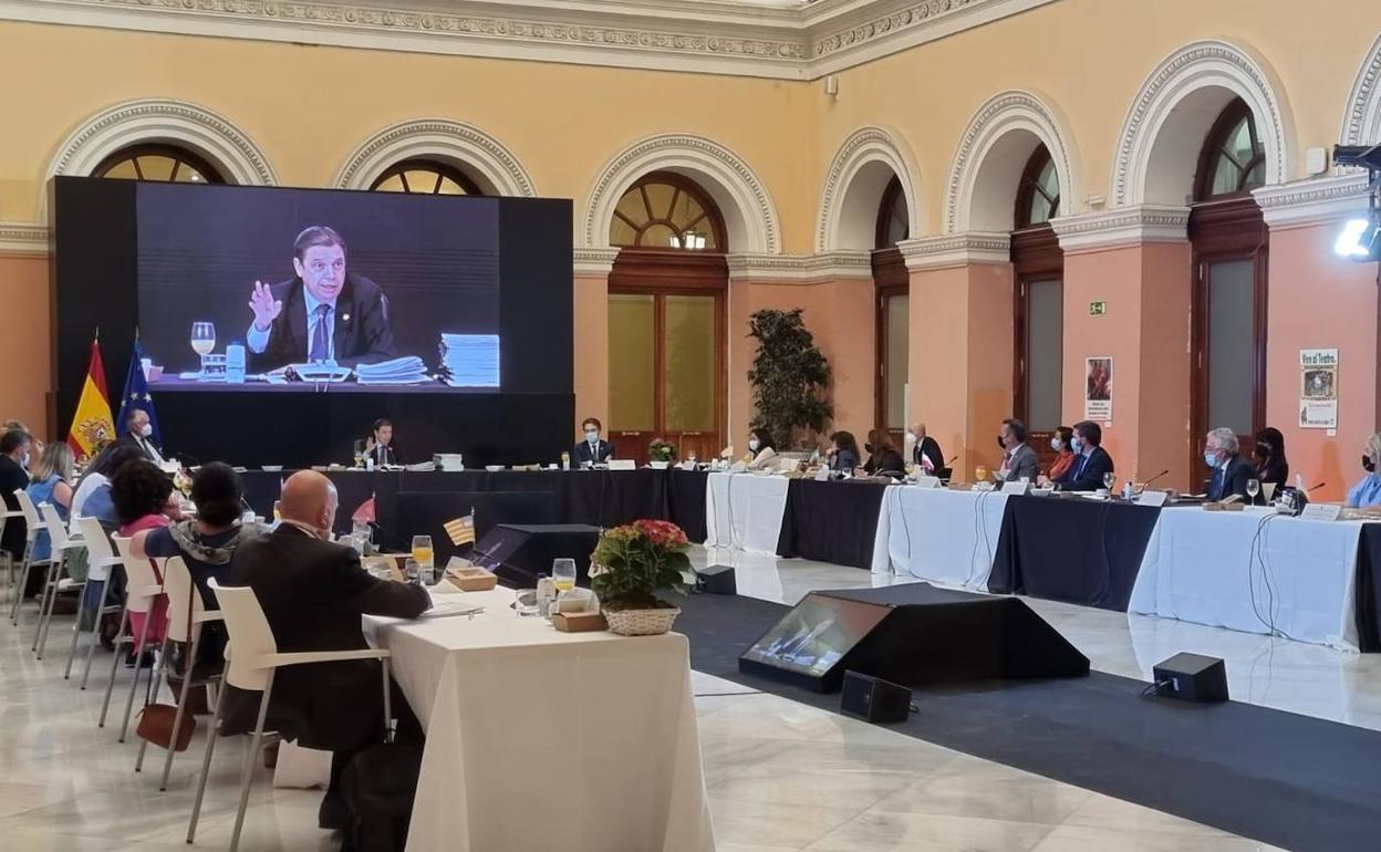 Reunión entre comunidades autónomas y el Ministerio de Agricultura en la Conferencia Sectorial.