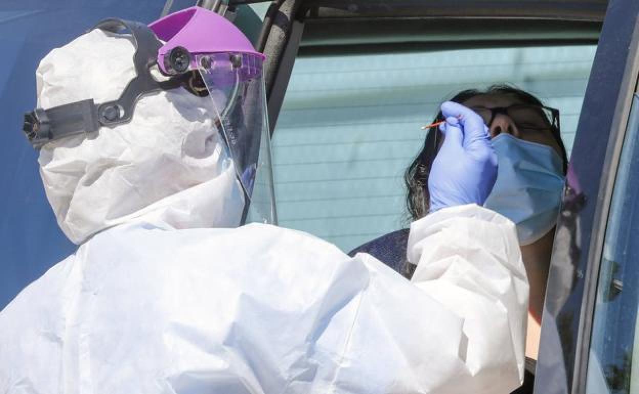 Coronavirus en Extremadura: Cuarto día con más de 400 contagios y el número de hospitalizados se acerca al medio centenar