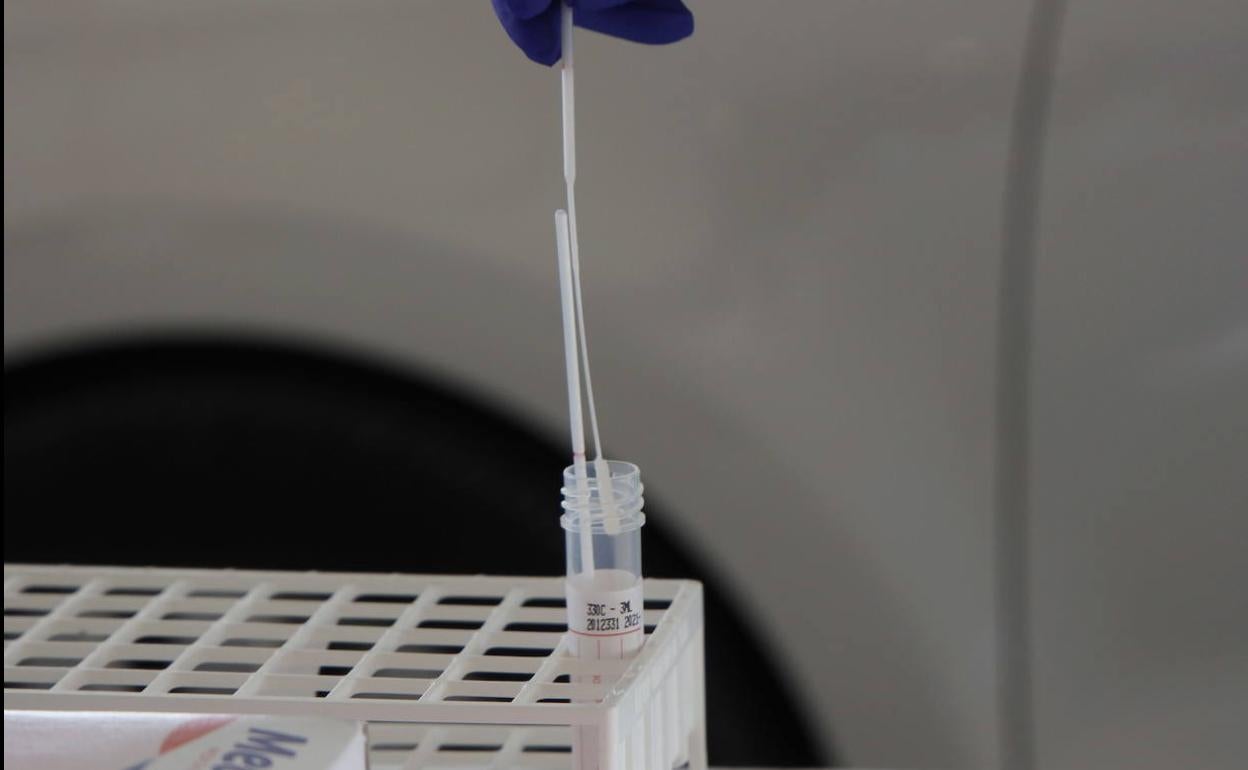 Coronavirus en Extremadura: La incidencia continúa su escalada y acumula casi 20 puntos en la última jornada hasta los 531 casos