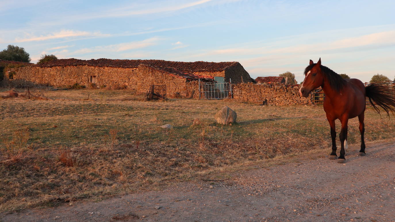 Fotos: Los Pajares, un salto en el tiempo a la vida tradicional