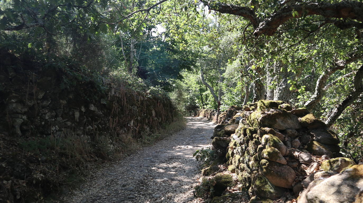 Fotos: Ruta del Castañar de Montánchez