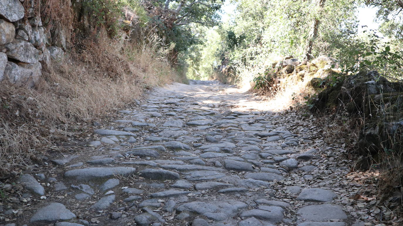 Fotos: Ruta del Castañar de Montánchez