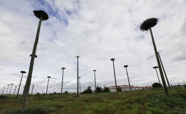 El proyecto del aeródromo de Cáceres, listo para la declaración ambiental del Ministerio