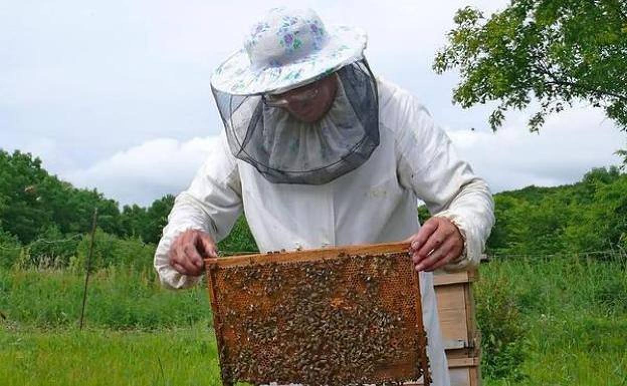 Un apicultor extremeño sosteniendo un alza.