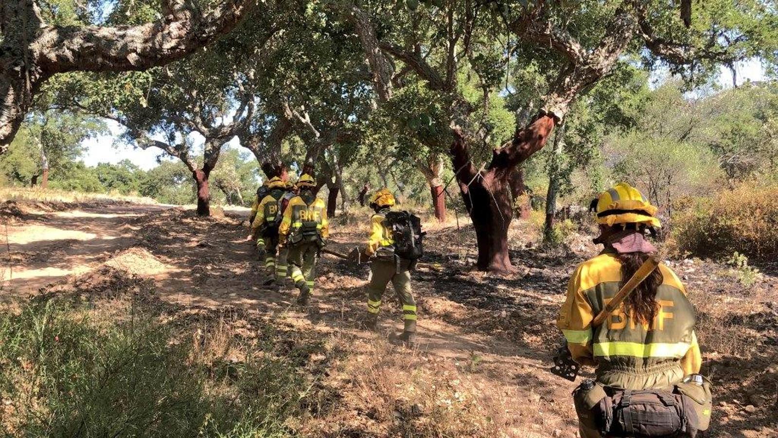 Fotos: Imágenes del incendio originado este miércoles cerca de Alburquerque