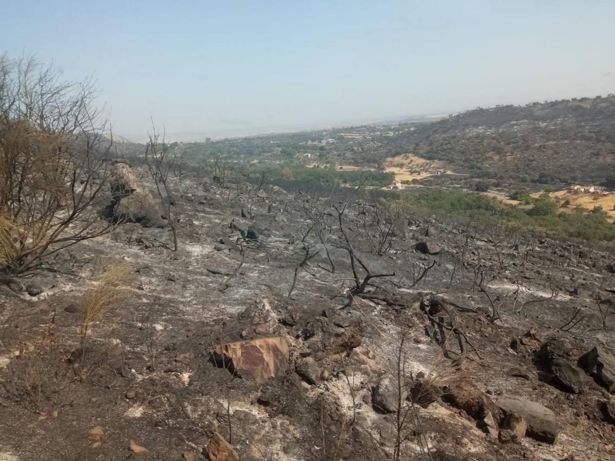 Fotos: Imágenes del incendio originado este miércoles cerca de Alburquerque