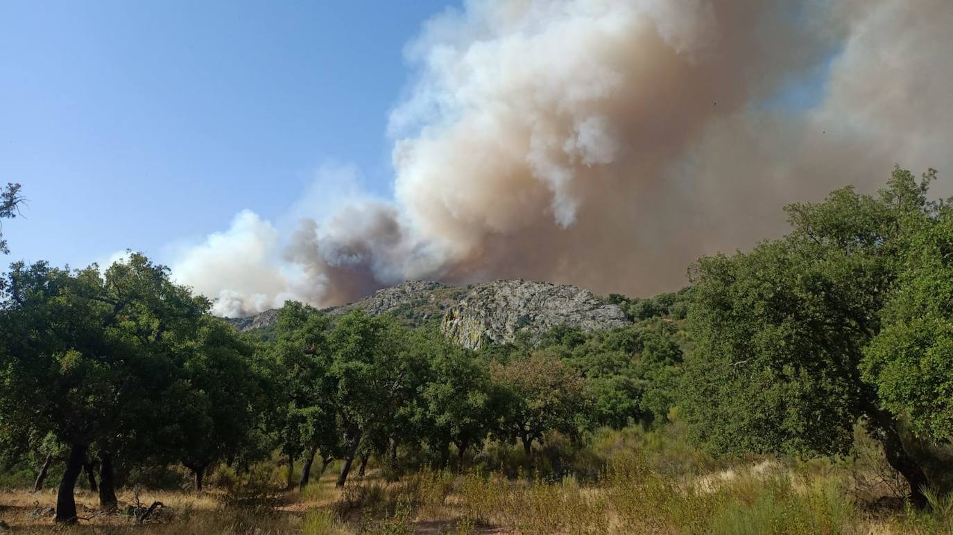 Fotos: Imágenes del incendio originado este miércoles cerca de Alburquerque