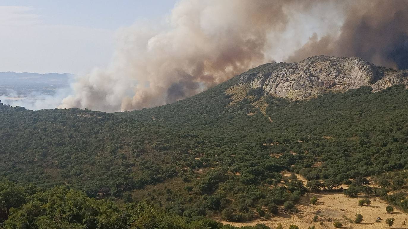 Fotos: Imágenes del incendio originado este miércoles cerca de Alburquerque