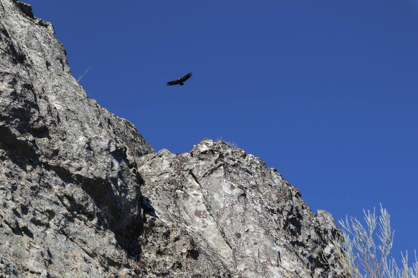 En menos de media hora de paseo se llega a la cueva que alberga estas pinturas rupestres esquemáticas, datadas en entre el 5500 y el 1000 antes de Cristo y cuyas peculiaridades se detallan en un panel explicativo