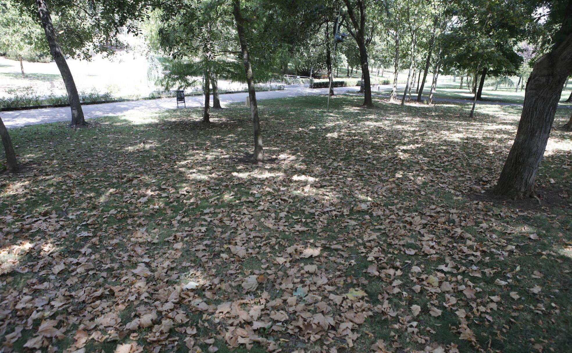 Hojas caídas en el parque del Príncipe esta semana, en una imagen que se repite por toda la ciudad. 