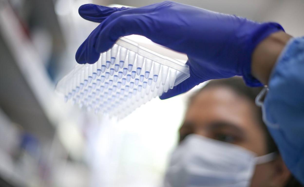 Coronavirus en Extremadura: La incidencia marca el dato más bajo de los últimos dos meses y medio
