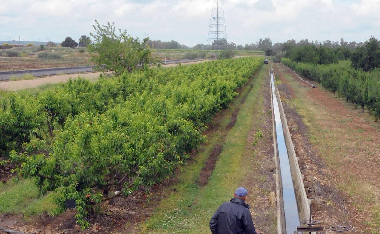 Término municipal de Lobón en donde se asentaron varios grupos. 