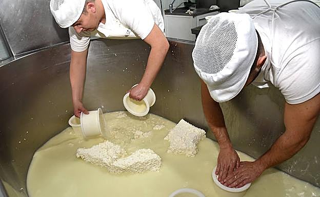 La elaboracíón sigue siendo artesanal con leche cruda y cuajadas húmedas.