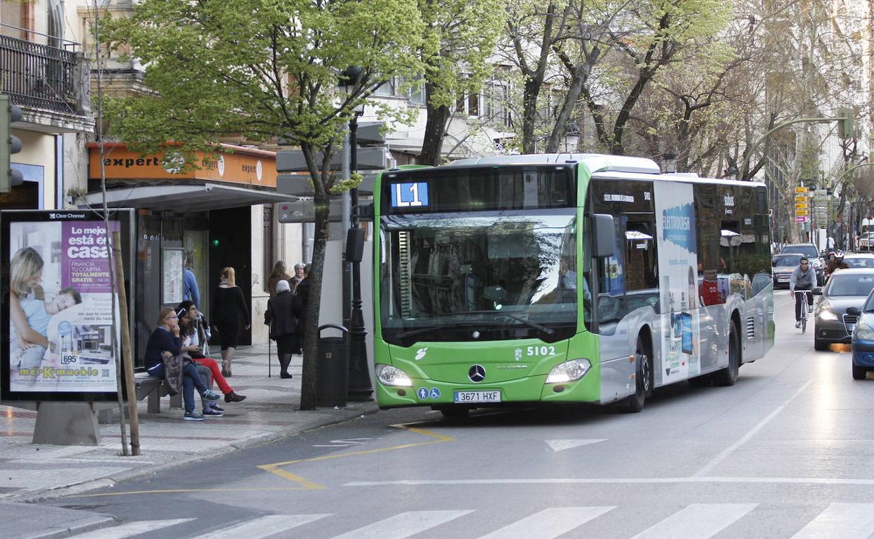 Imagen de archivo de un autobús en la avenida de España de Cáceres.