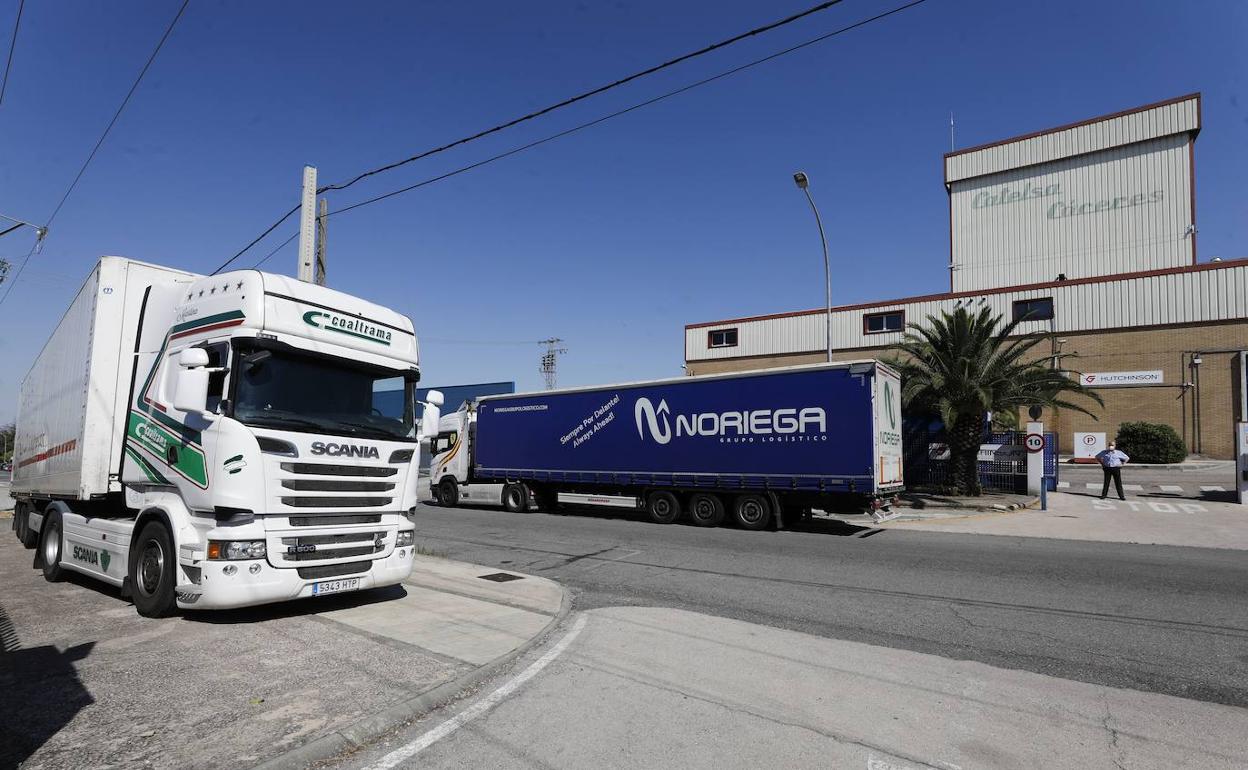 Acceso a las instalaciones de Catelsa, en el polígono industrial de las Capellanías.