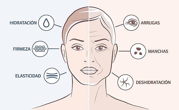 Colágeno de la eterna juventud