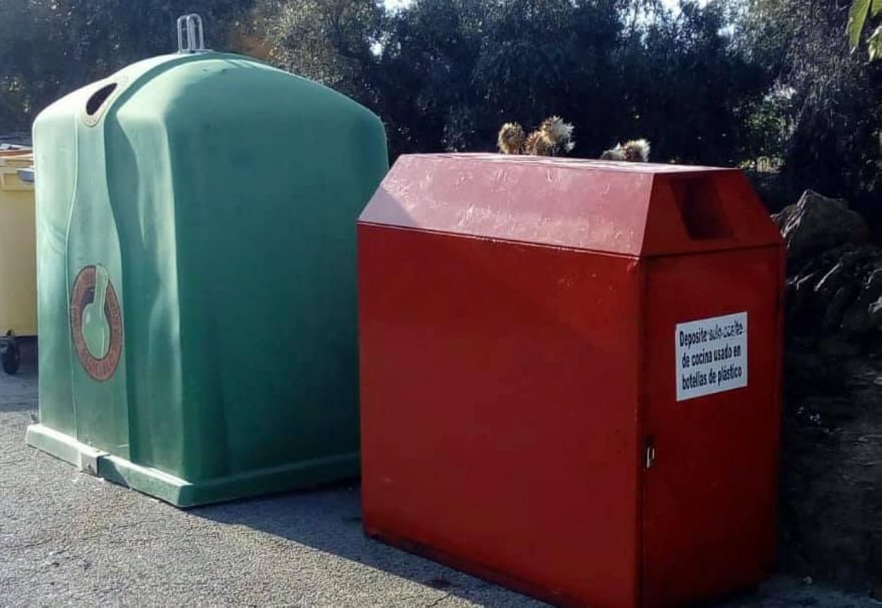 El contenedor ya está instalado en la calle Mártires de España. 