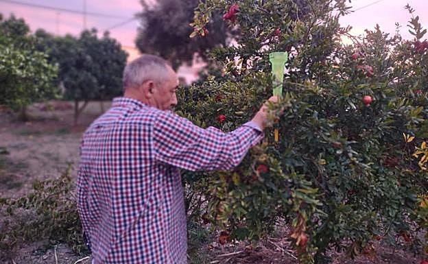 Imagen principal - Las cabañuelas prevén agua y tormentas para 2022 en Extremadura
