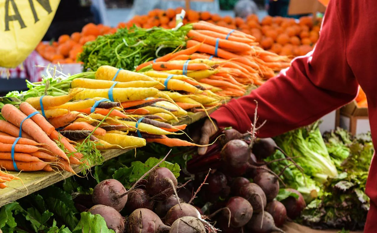 A new European strategy for healthier and more sustainable food