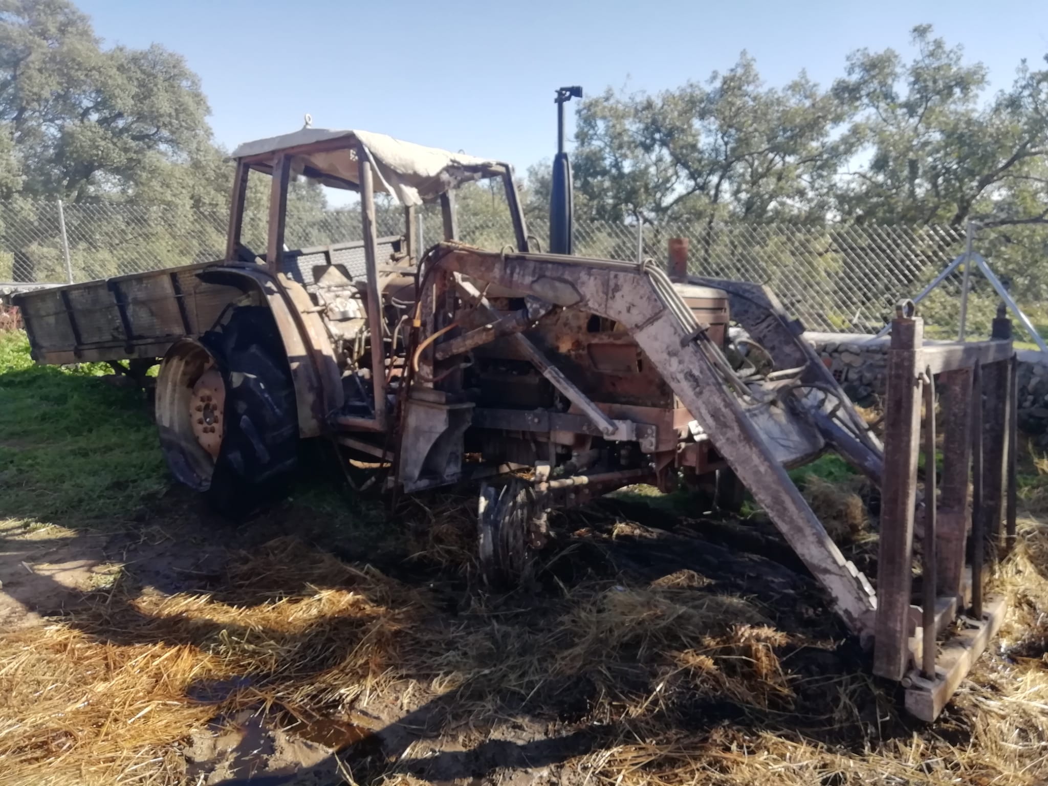 Fotos: Cuatro naves ganaderas calcinadas de madrugada en Aceituna