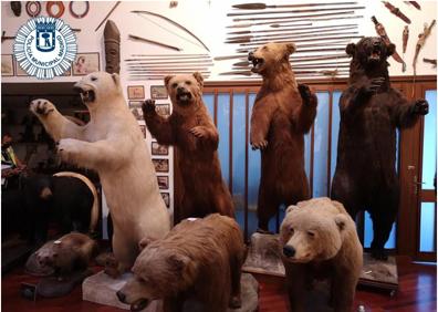 Imagen secundaria 1 - Exposición que tenía un particular de animales disecados e intervenida por la Policíía Municipal de Madrid