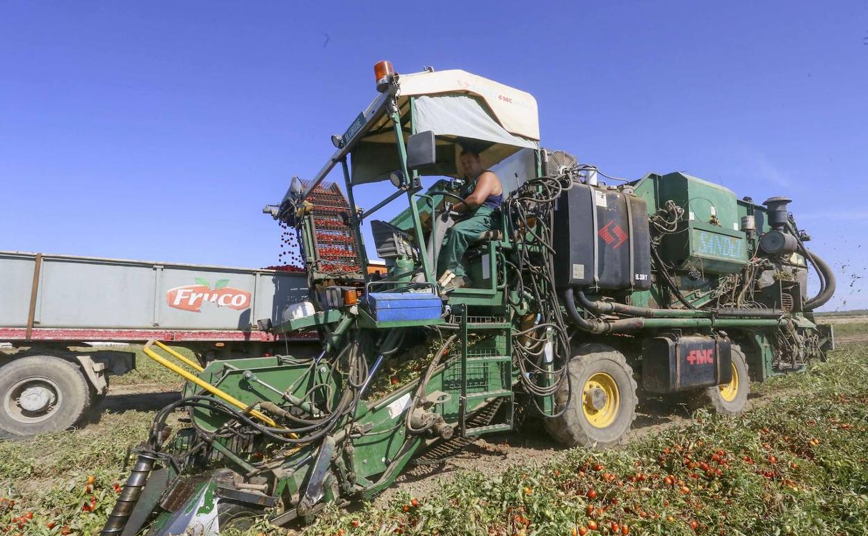 Actividad en una explotación agraria de Extremadura. 