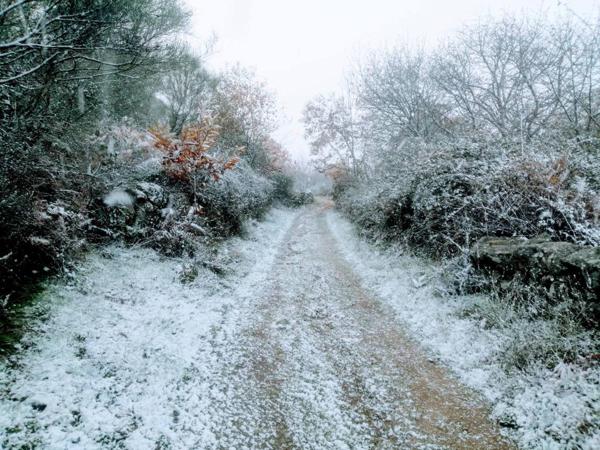 Nieve en La Garganta, en el valle del Ambroz, a 1.124 metros de altitud. 