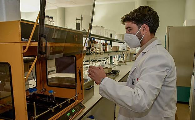 Agitador orbital usado para elaborar los extractos. 