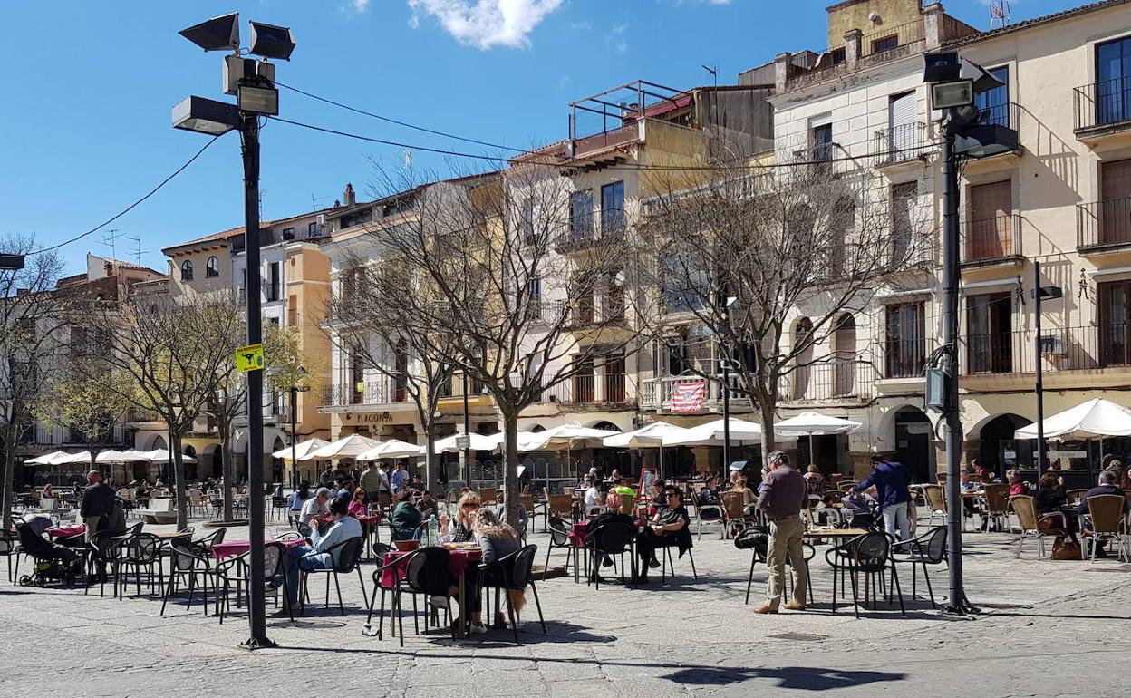 Sombrillas en algunas de las terrazas de la Plaza Mayor de Plasencia. 