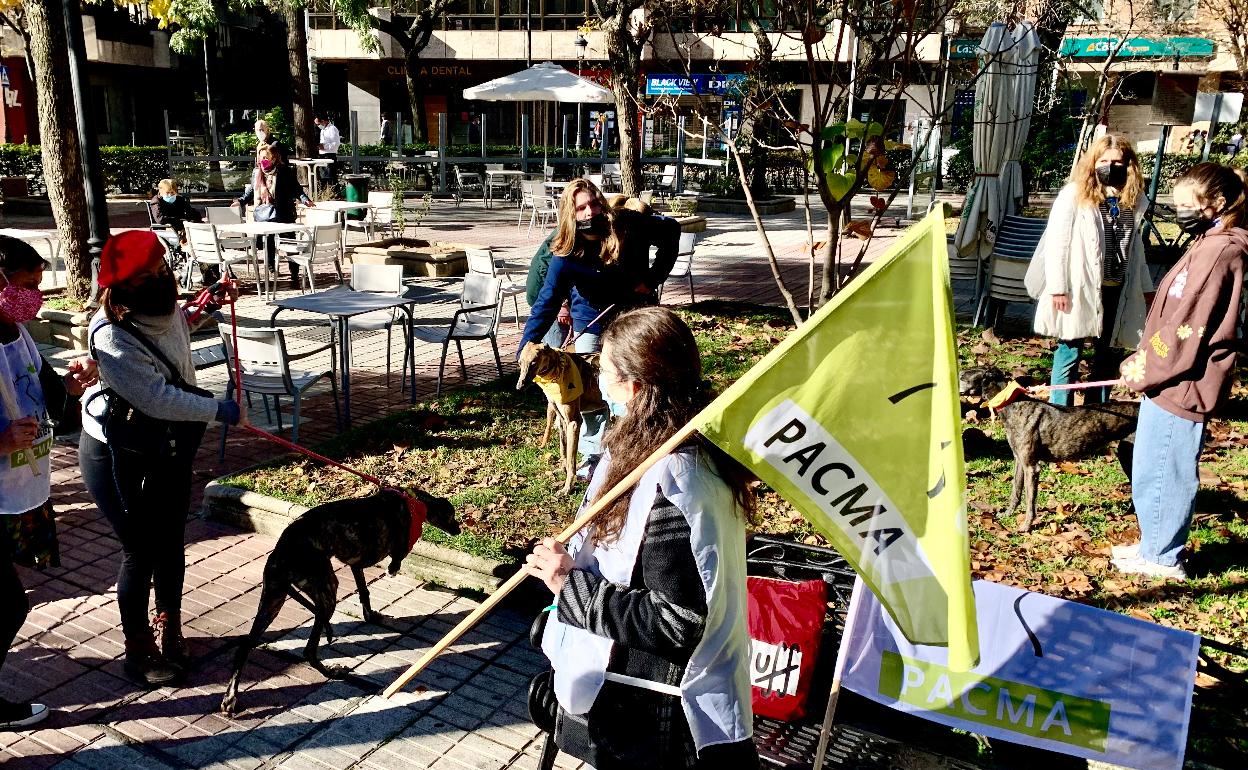 Varios participantes en el paseo reivindicativo celebrado esta mañana en Cánovas. 