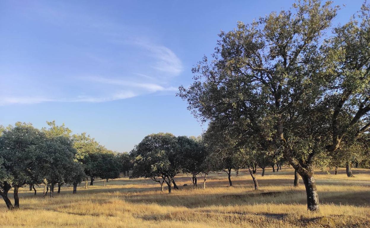 La PAC, cada vez más verde y territorializada