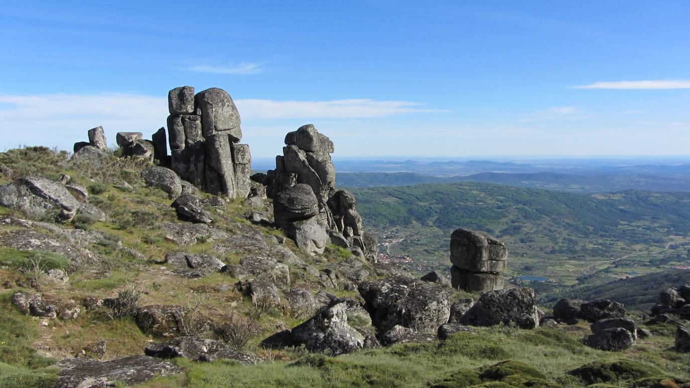 Verraco de Segura de Toro
