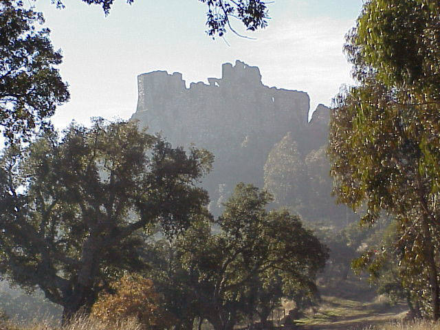 Verraco de Segura de Toro