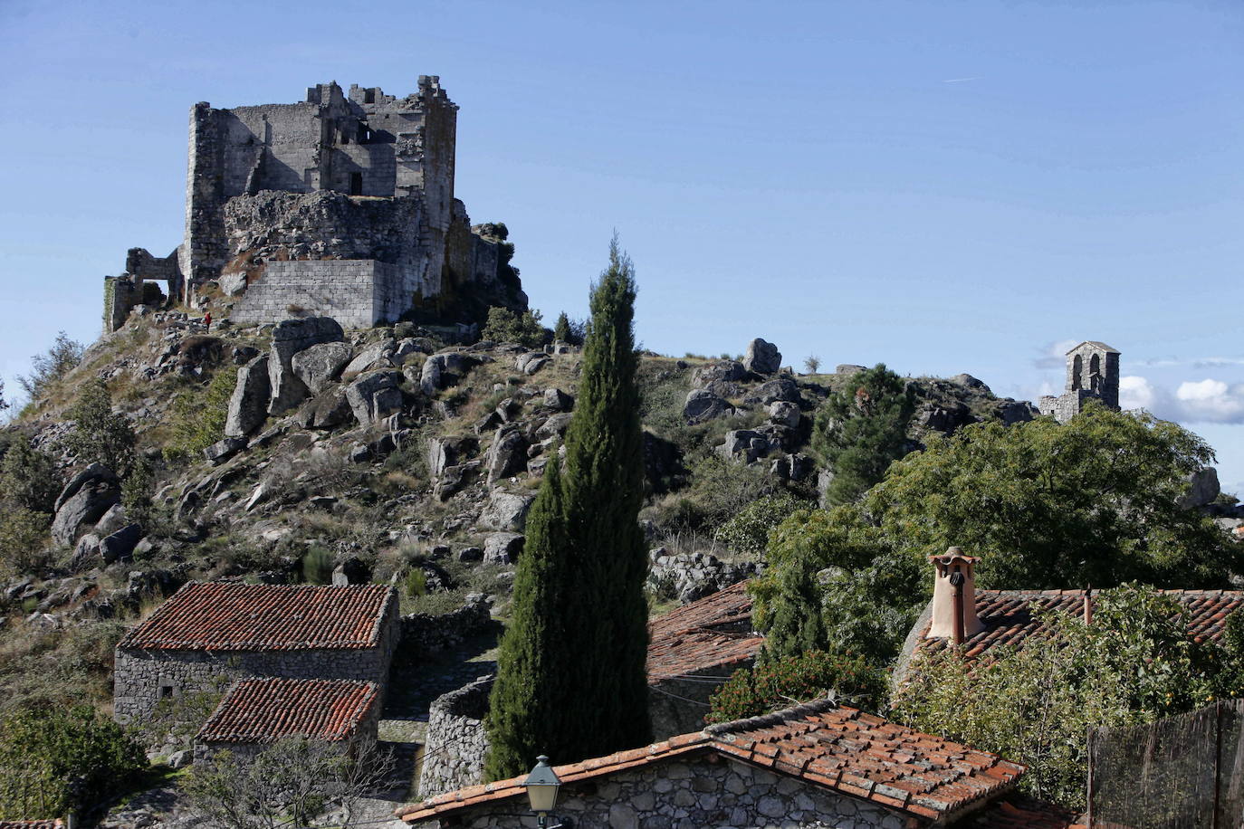 Verraco de Segura de Toro
