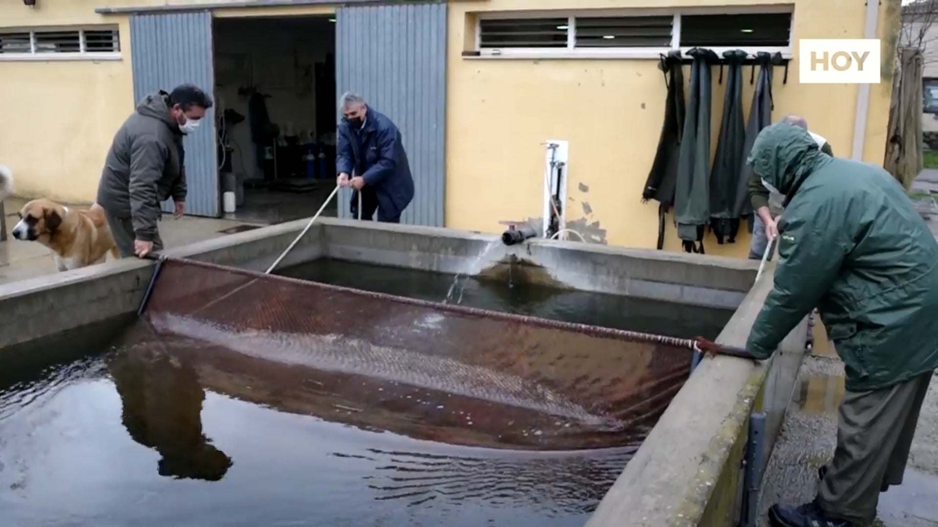 Los viveros de los peces extremeños