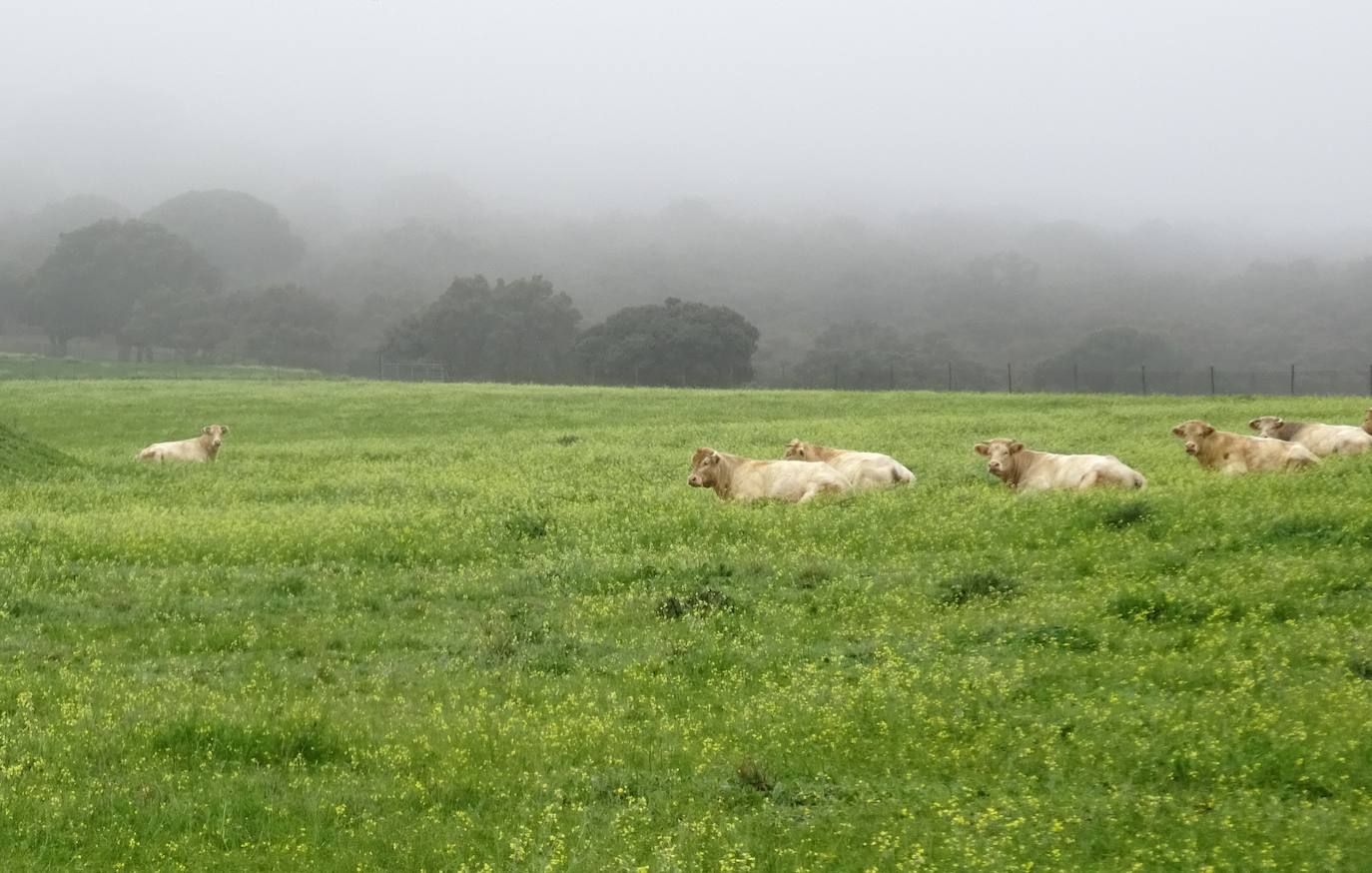Imágenes de la etapa Cáceres-Sierra de Fuentes, 11 kilómetros. 