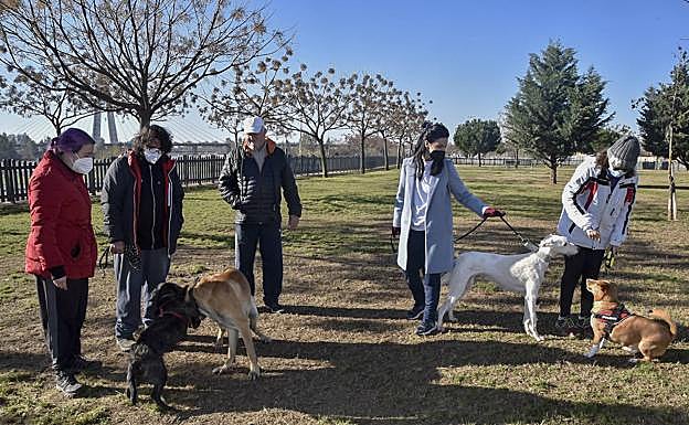 Rocío y Alma junto con otros dueños y perritos en el parque canino del parque del río. 