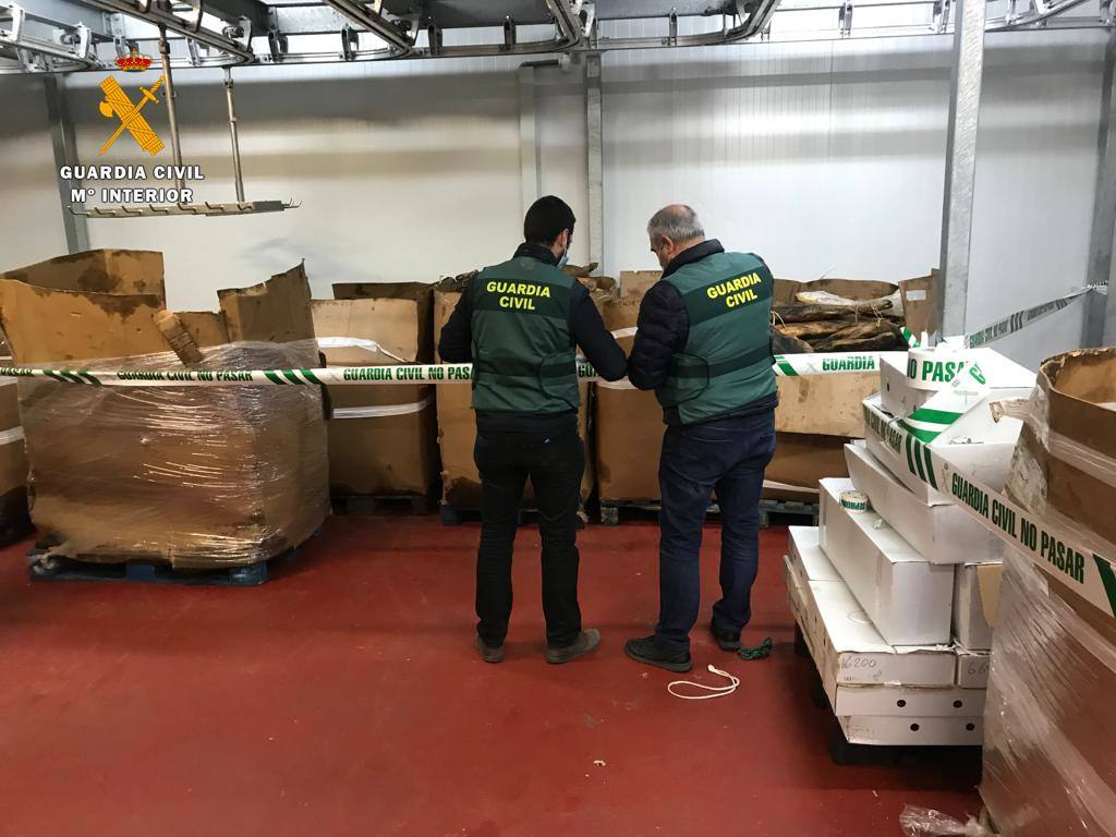 Fotos: 1.790 jamones y paletas intervenidos por la Guardia Civil en la provincia de Cáceres