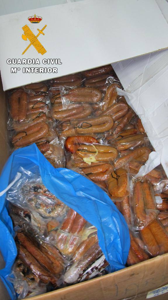 Fotos: 1.790 jamones y paletas intervenidos por la Guardia Civil en la provincia de Cáceres