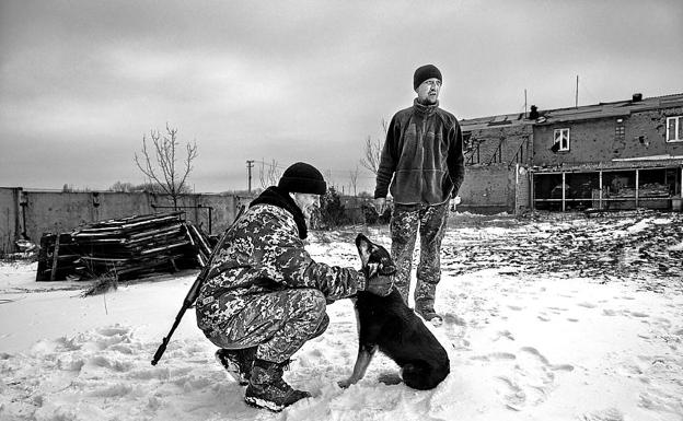 Ukrainian soldiers play with a dog at an outpost