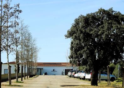 Imagen secundaria 1 - Viñas, entrada al restaurante y terraza exterior.