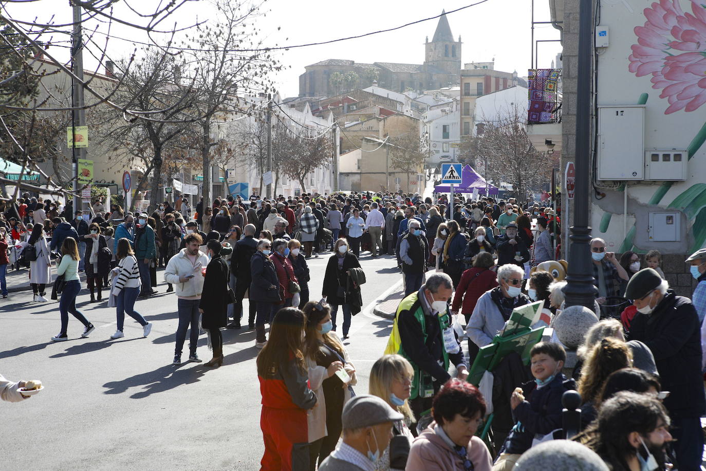 Fotos: Los cacereños festejan San Blas