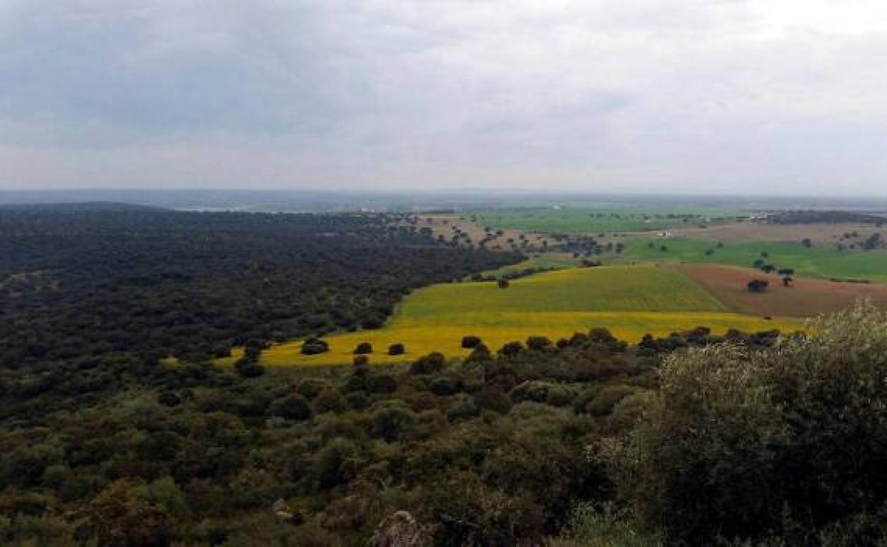 Isla Valdecañas: ¿Tiene Extremadura excesiva protección?