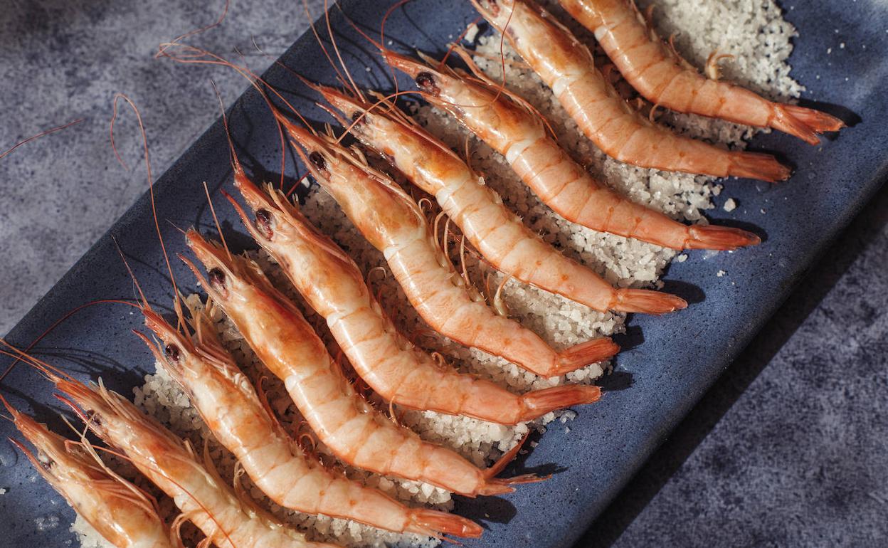 Carnívora trae los mejores productos de las costas de Huelva a Badajoz