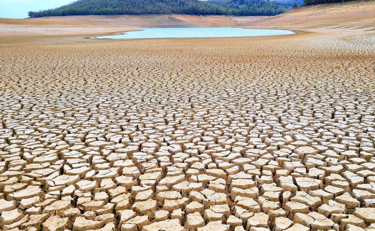 Estado en el que se encuentra el pantano de Cijara por la ausencia de lluvias. 