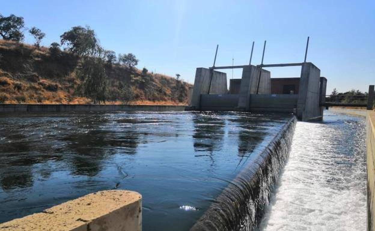 La Comunidad General de Usuarios del Canal de Orellana recuerdan que solo tendrán un 24% de la dotación.