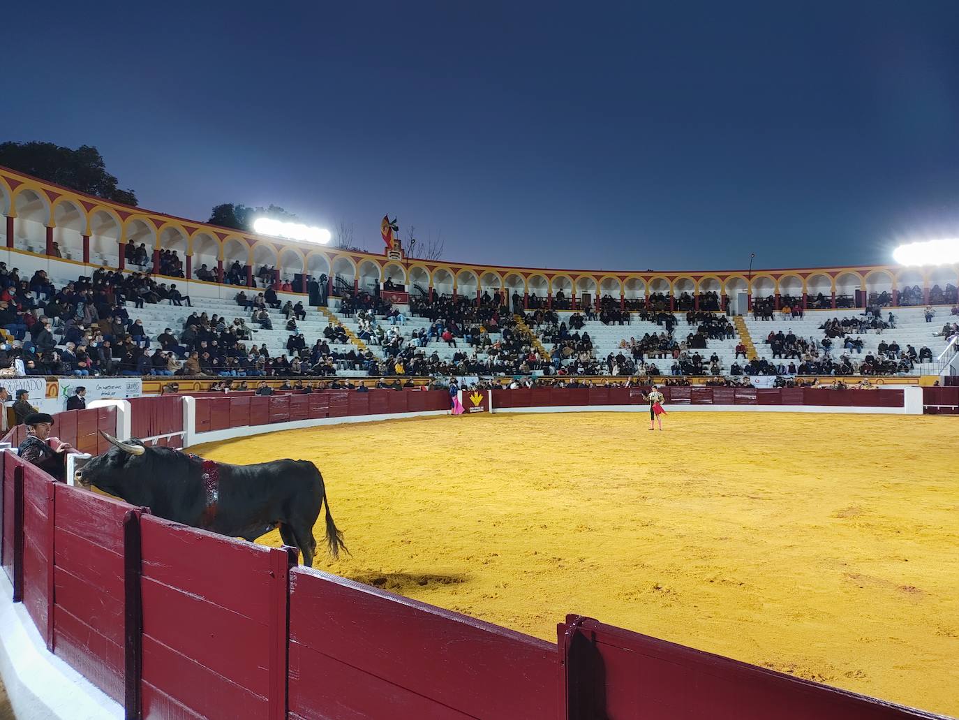 Fotos: Primer festejo de la Feria de Olivenza: Novillada con Carlos Domínguez, Manuel Perera y Eric Olivera