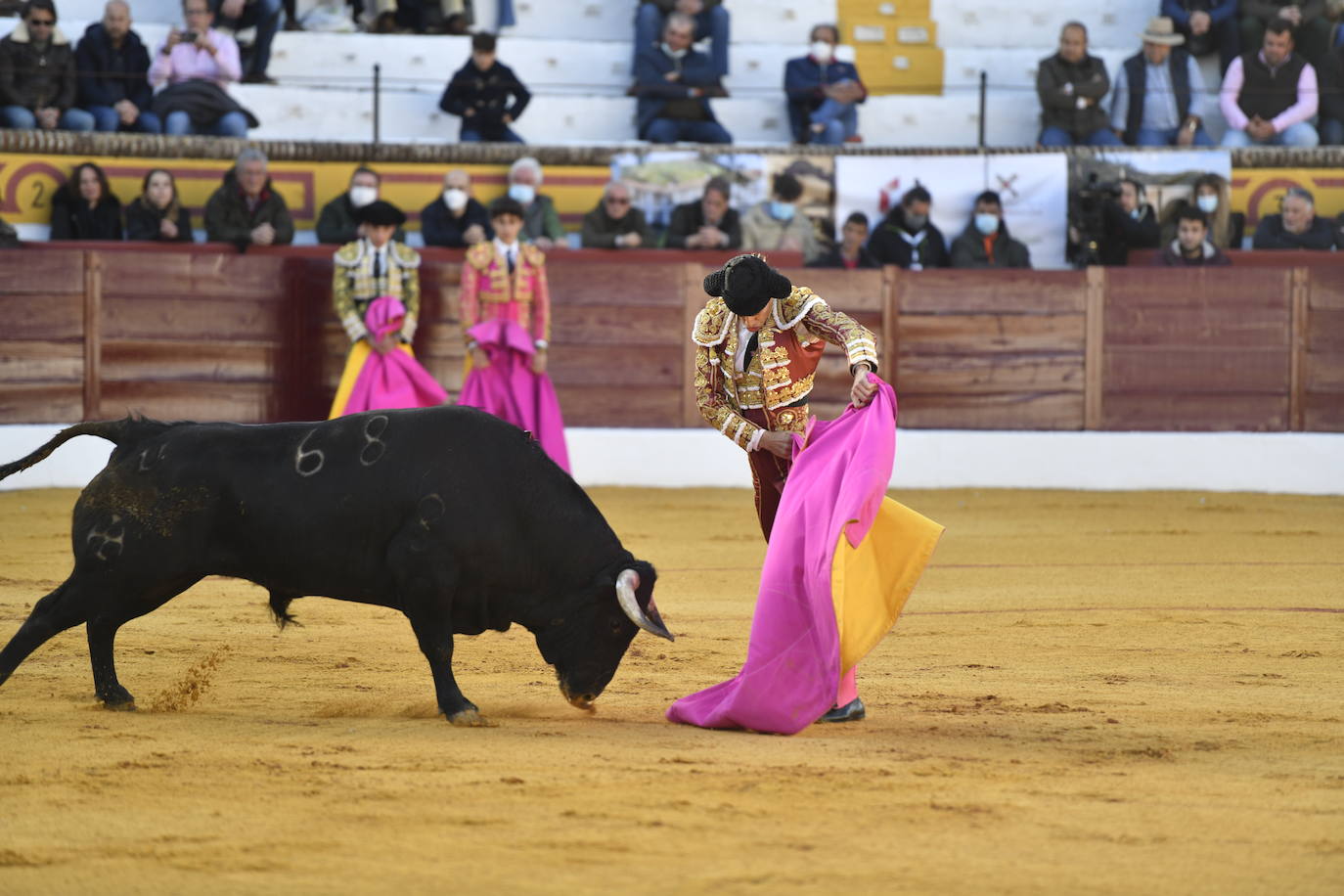 Fotos: Primer festejo de la Feria de Olivenza: Novillada con Carlos Domínguez, Manuel Perera y Eric Olivera