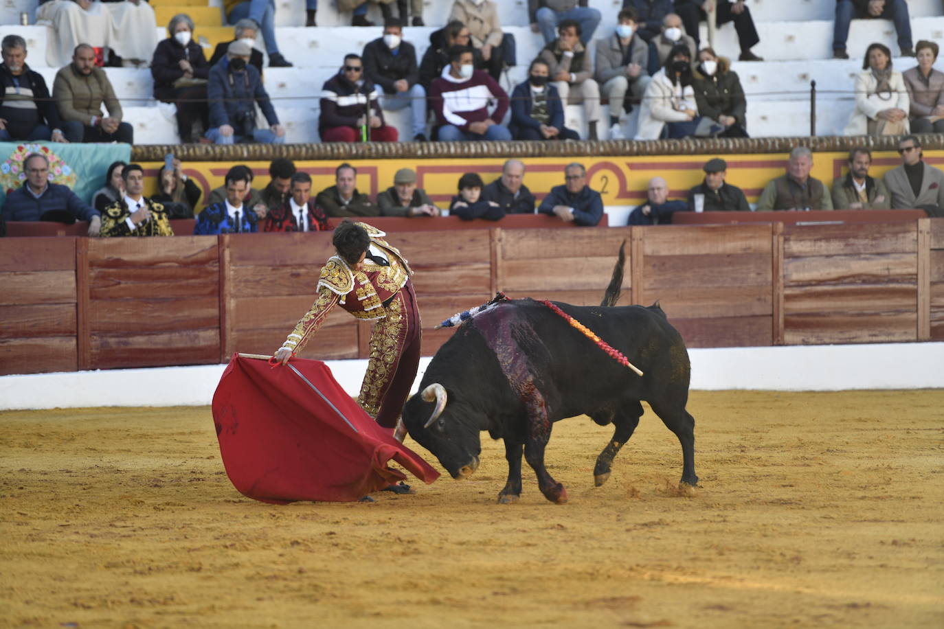 Fotos: Primer festejo de la Feria de Olivenza: Novillada con Carlos Domínguez, Manuel Perera y Eric Olivera